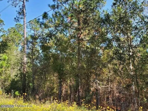 $7,800 | 2-3 Tigris Street, Bay St. Louis, MS 39520