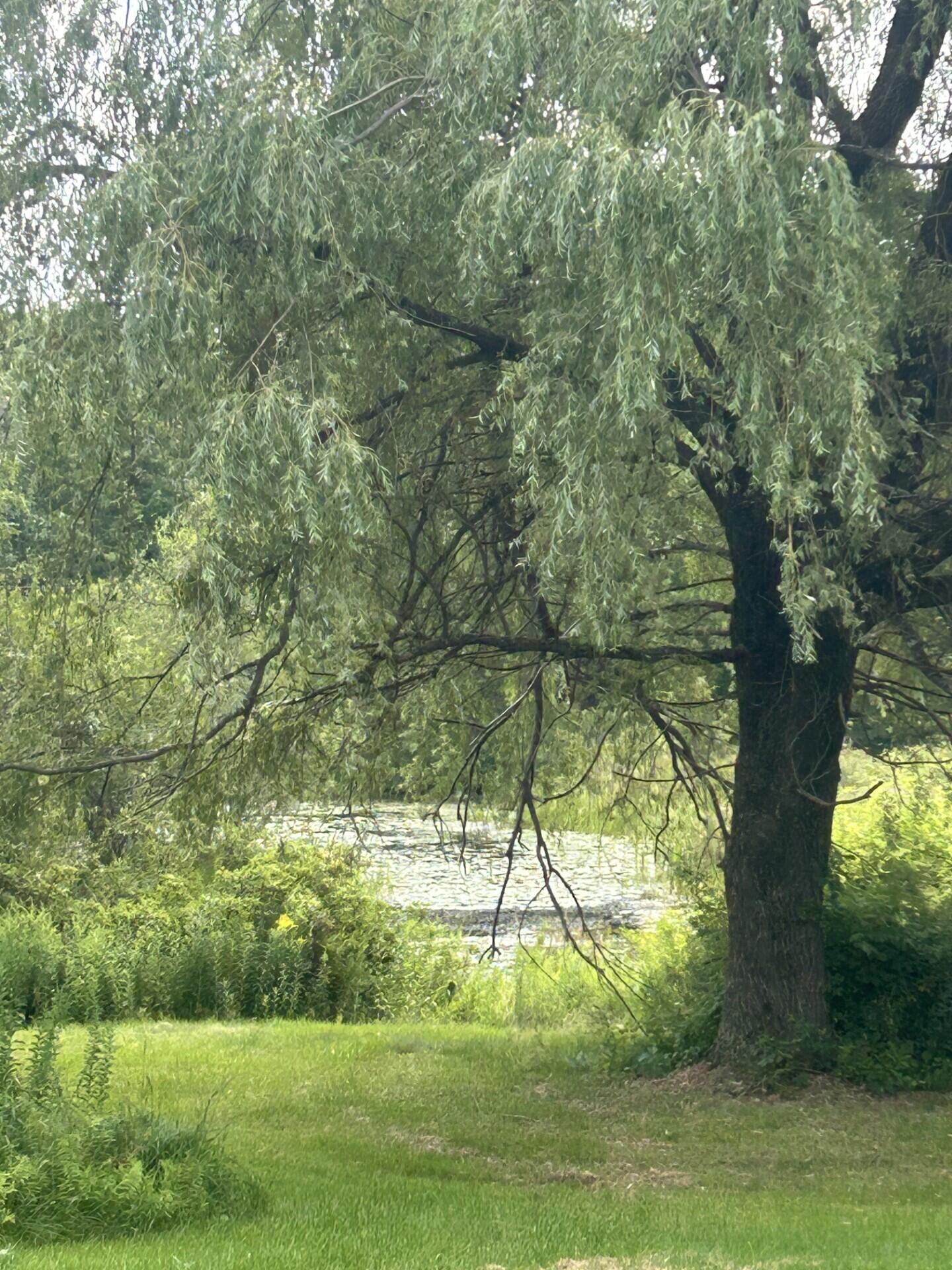 67 Pike Road Livermore, ME 04253 - Photo 3 of 36 0422 pond