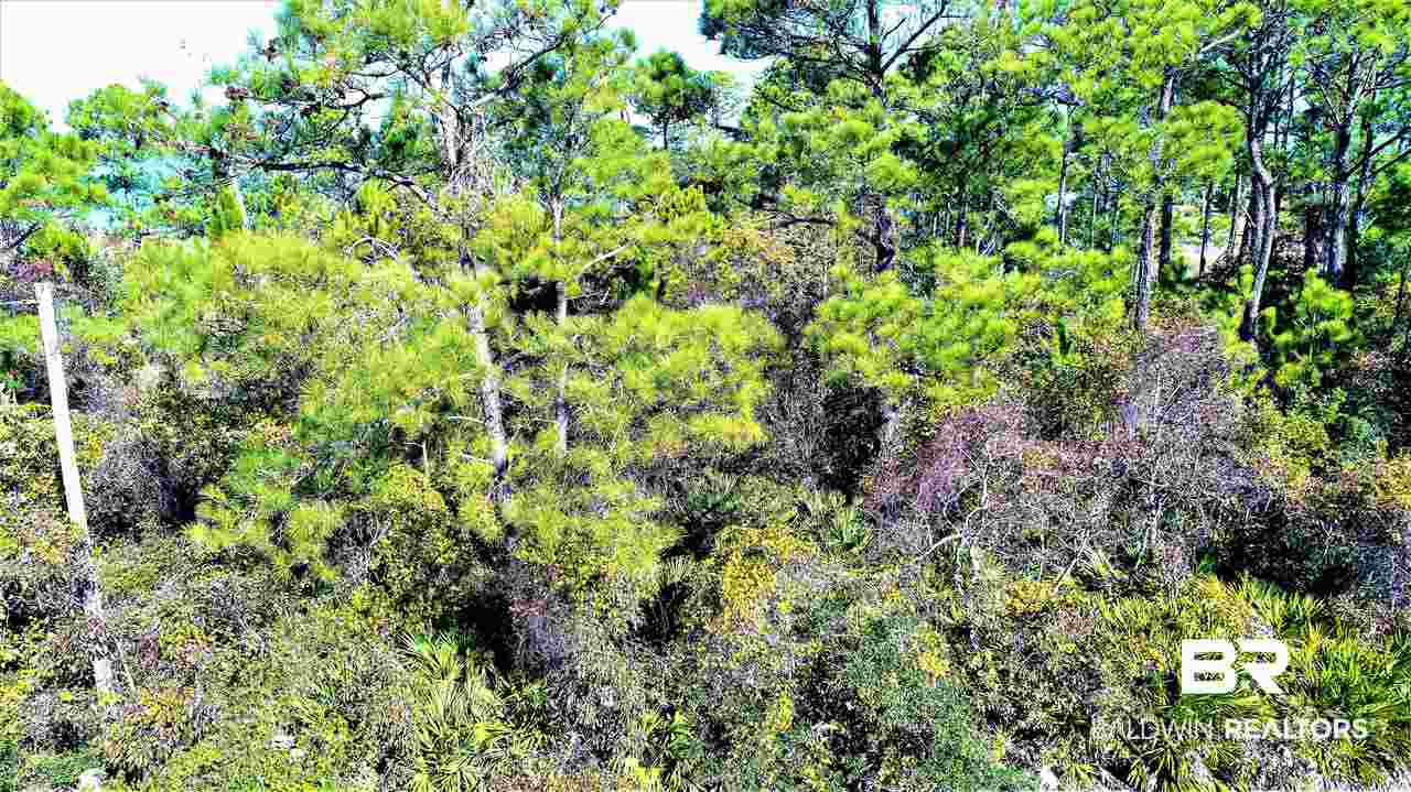 0 West State Highway Maplesville, AL 36750 - Photo 3 of 11