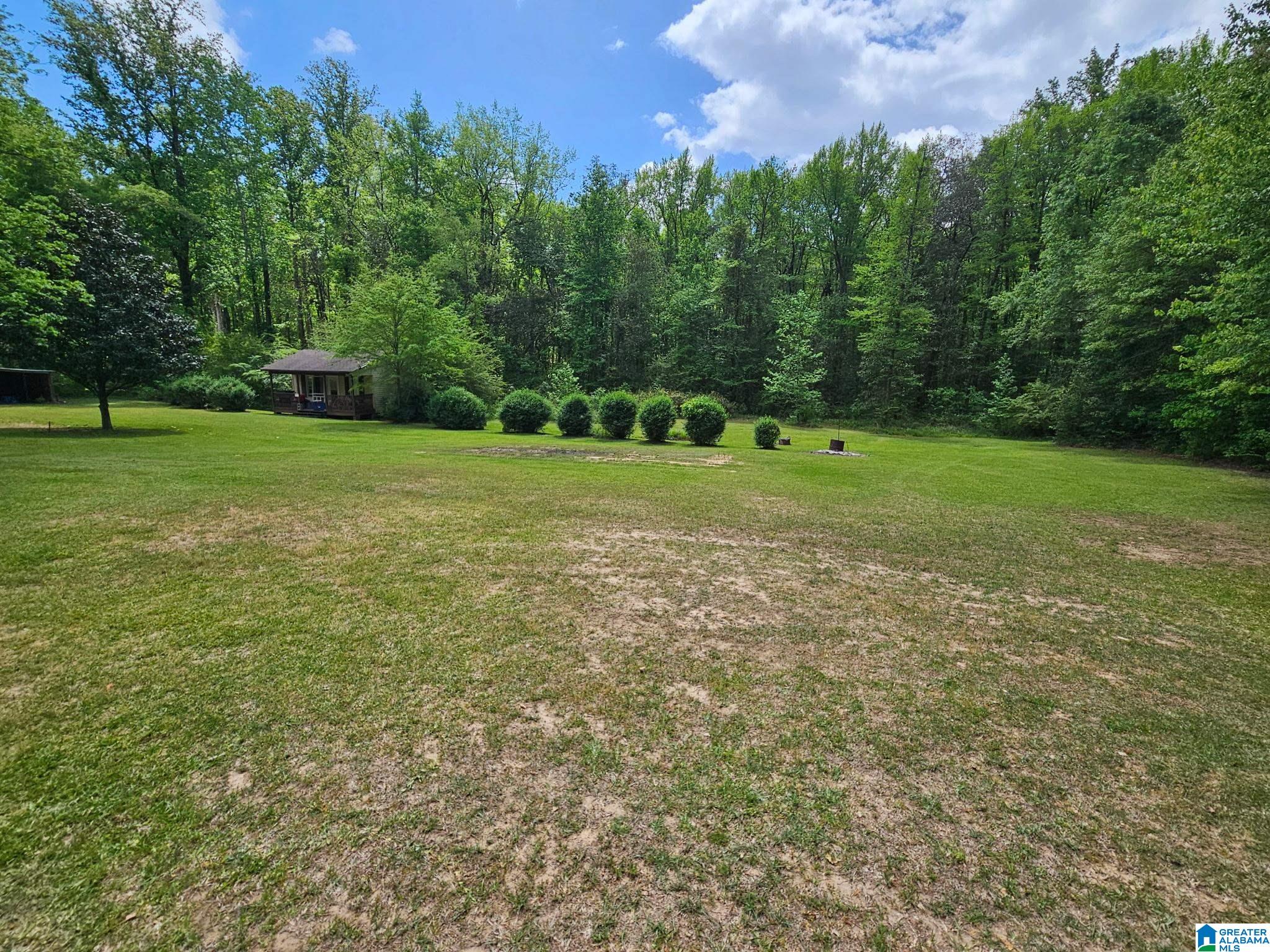 1333 Frog Level Road West Blocton, AL 35184 - Photo 10 of 19