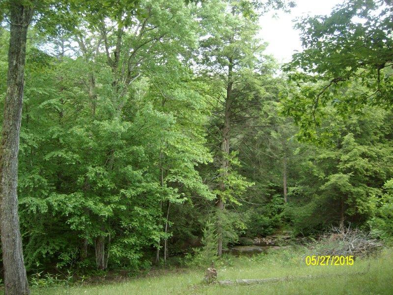 130 Shell Road Dunlap, TN 37327 - Photo 9 of 16 View 8