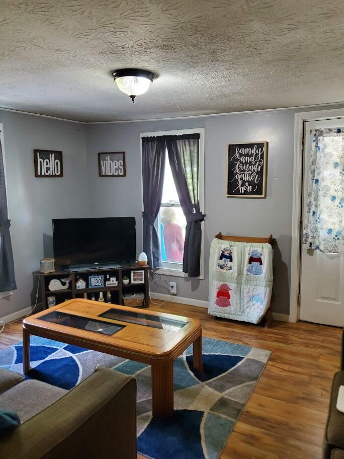 139 Old County Road McKee, KY 40447 - Photo 11 of 22 living room