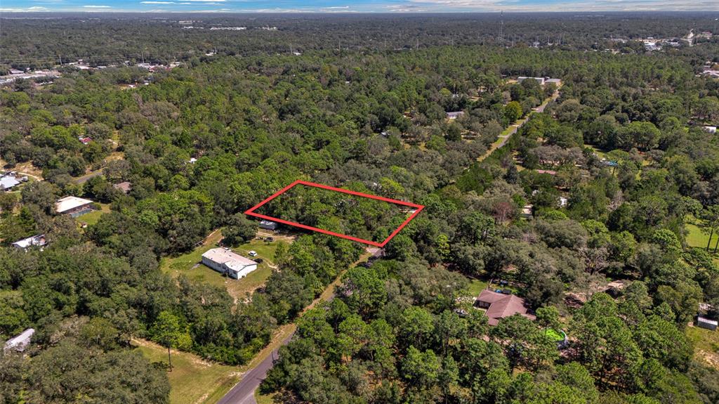 3095 East Possum Court Inverness, FL 34452 - Photo 42 of 45