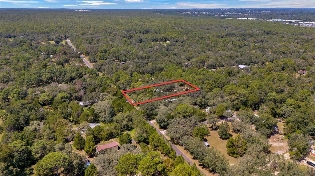 3095 East Possum Court Inverness, FL 34452 - Photo 43 of 45