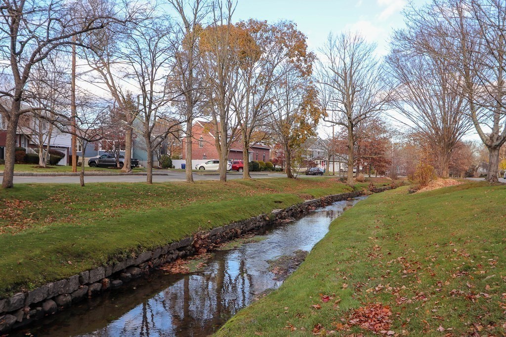122 Albemarle Road Newton, MA 02460 - Photo 24 of 28 a view of a park with large trees