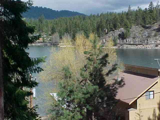 0 Larson Beach Road Loon Lake, WA 99148 - Photo 3 of 6