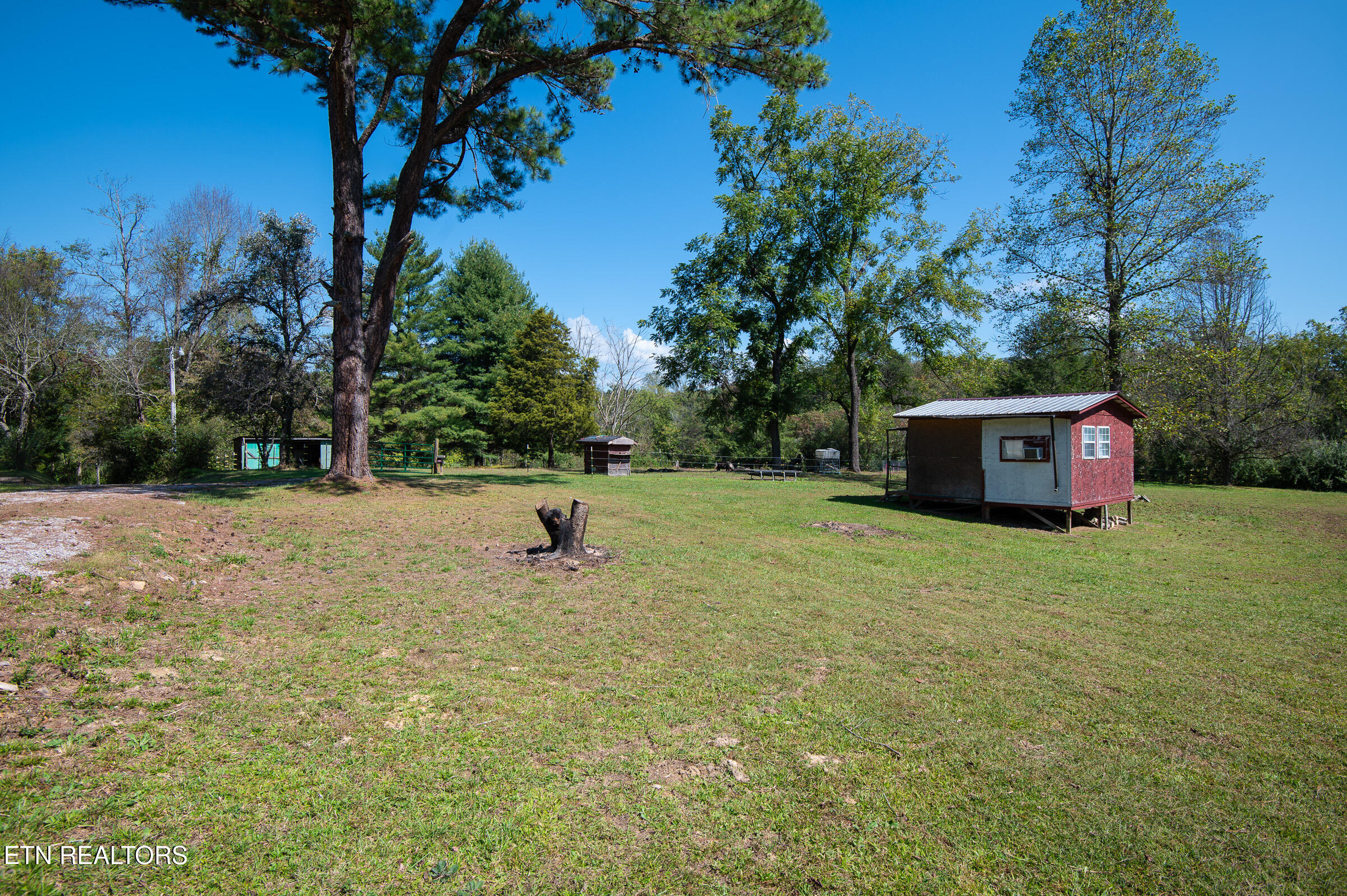 451 Shady Grove Road Lancing, TN 37770 - Photo 18 of 30 No Restrictions