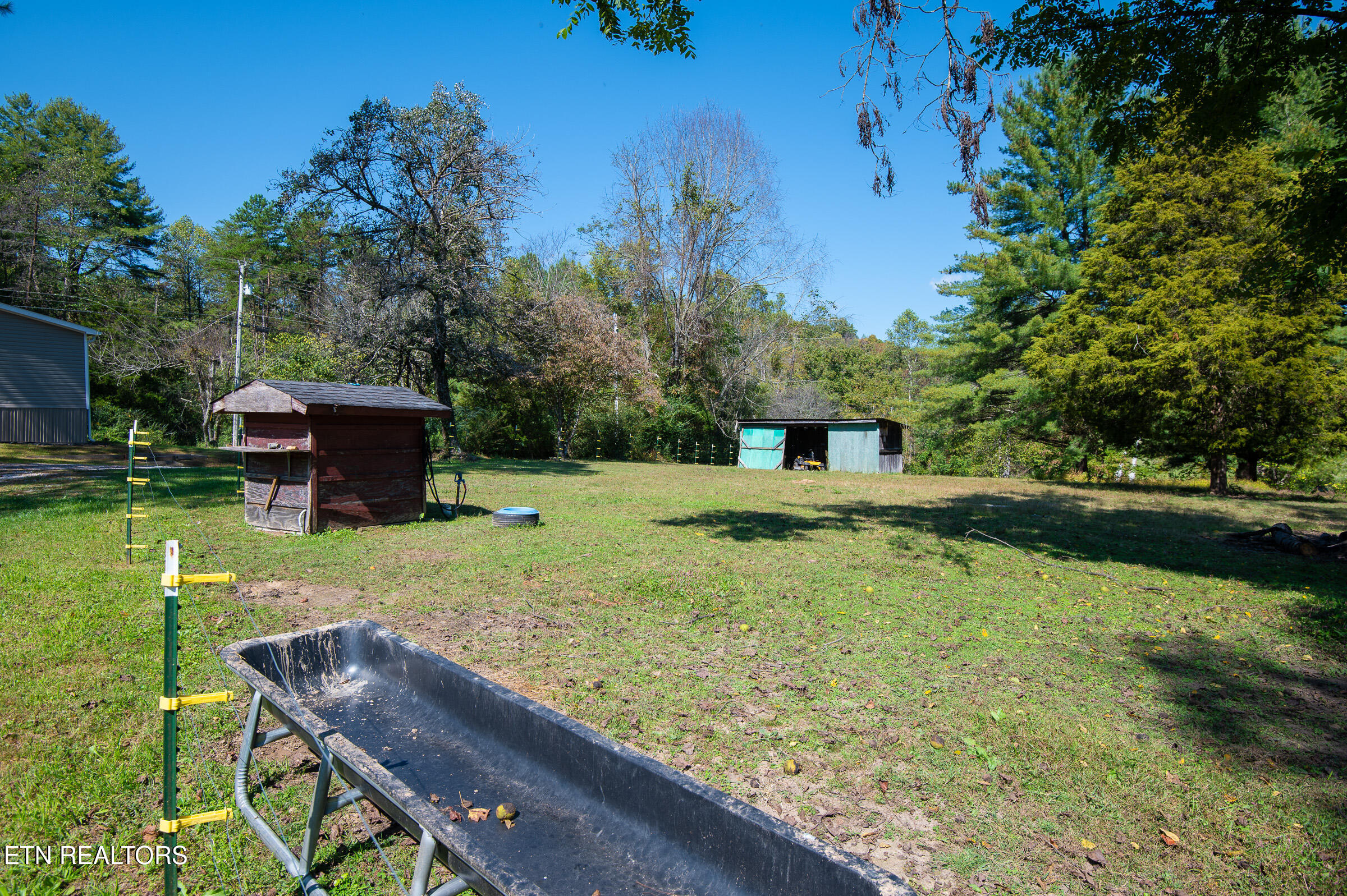 451 Shady Grove Road Lancing, TN 37770 - Photo 19 of 30 Mini Farm
