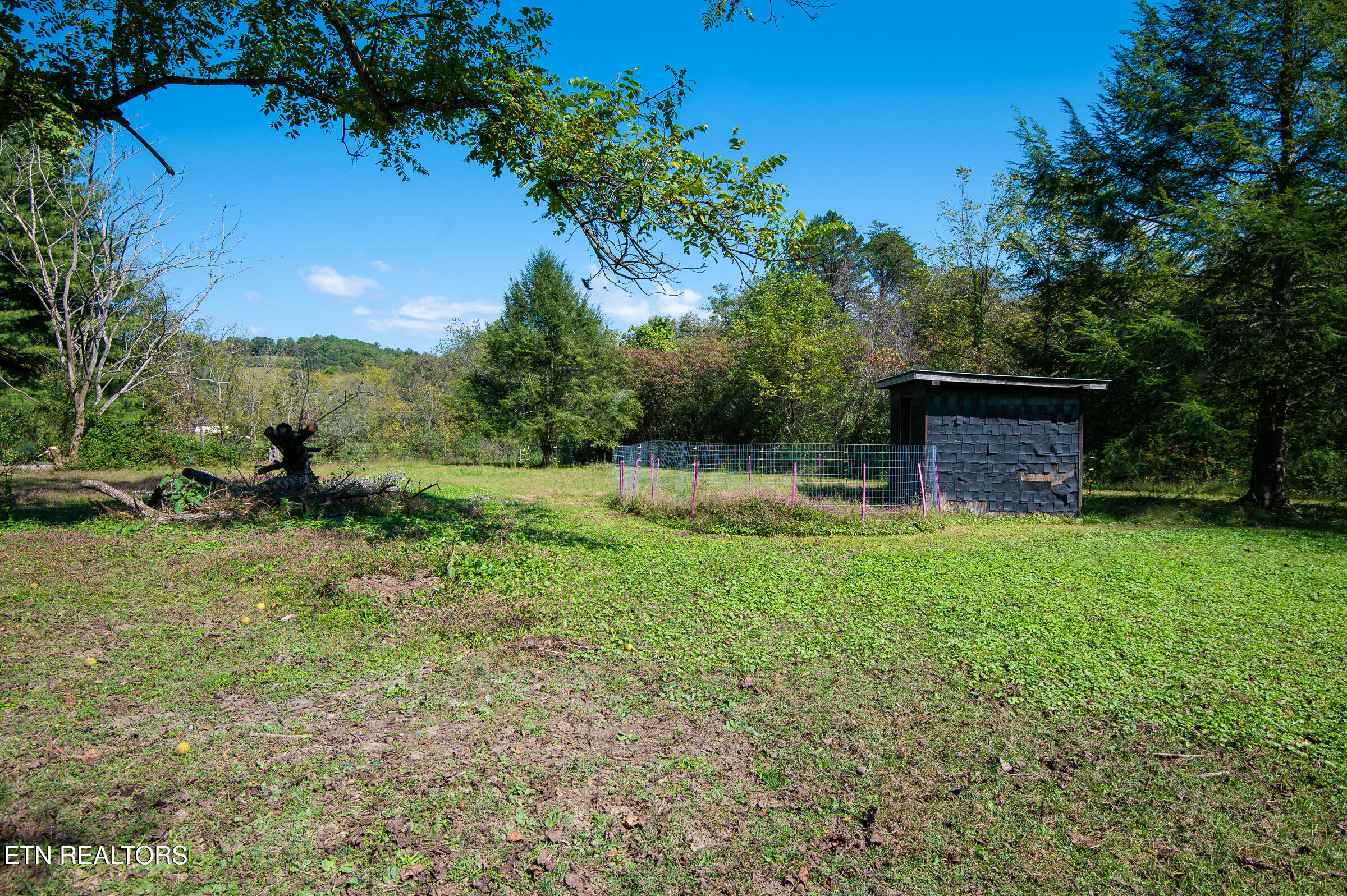 451 Shady Grove Road Lancing, TN 37770 - Photo 20 of 30 beautiful place!