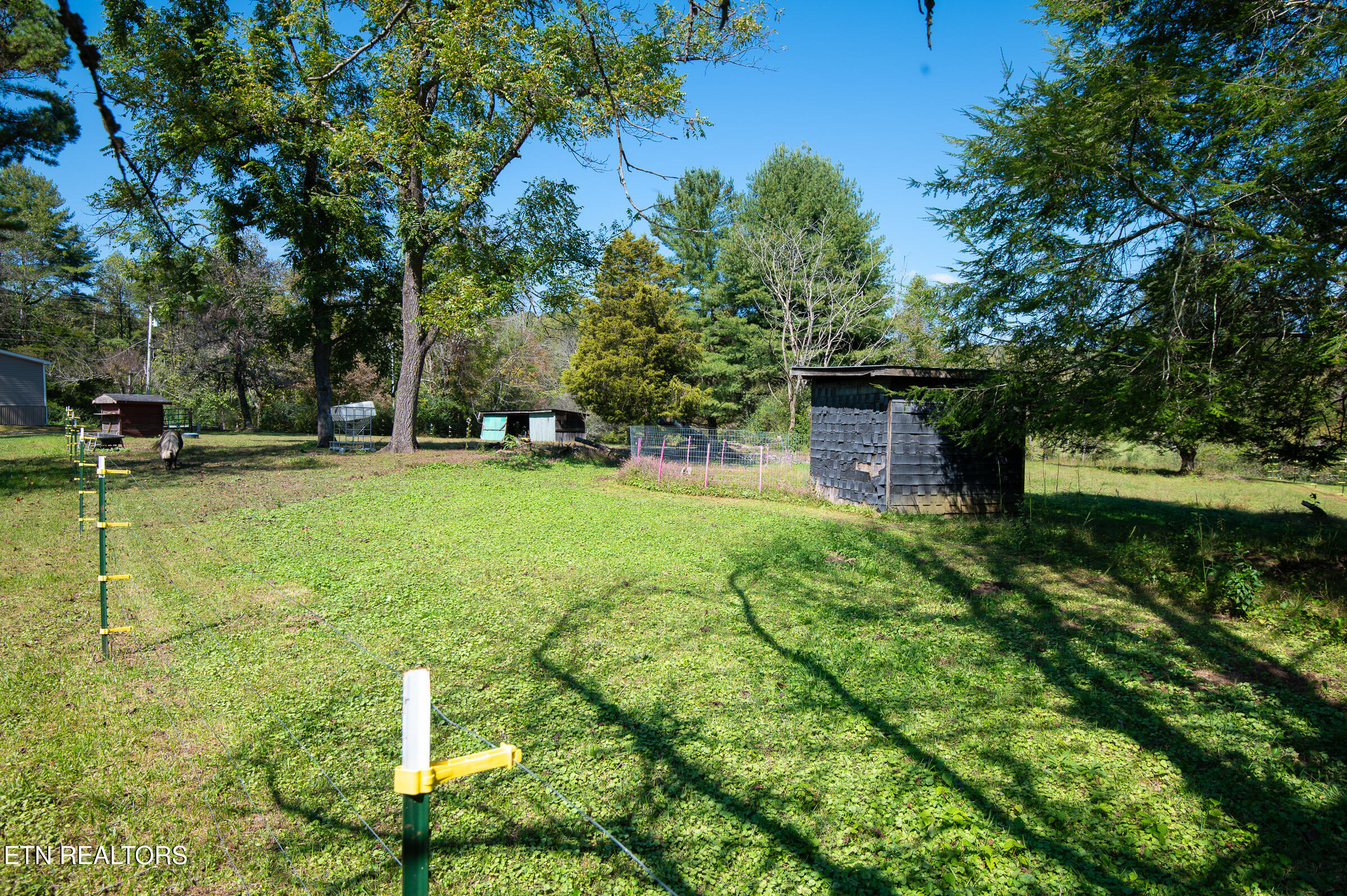 451 Shady Grove Road Lancing, TN 37770 - Photo 21 of 30 Fence Pastures