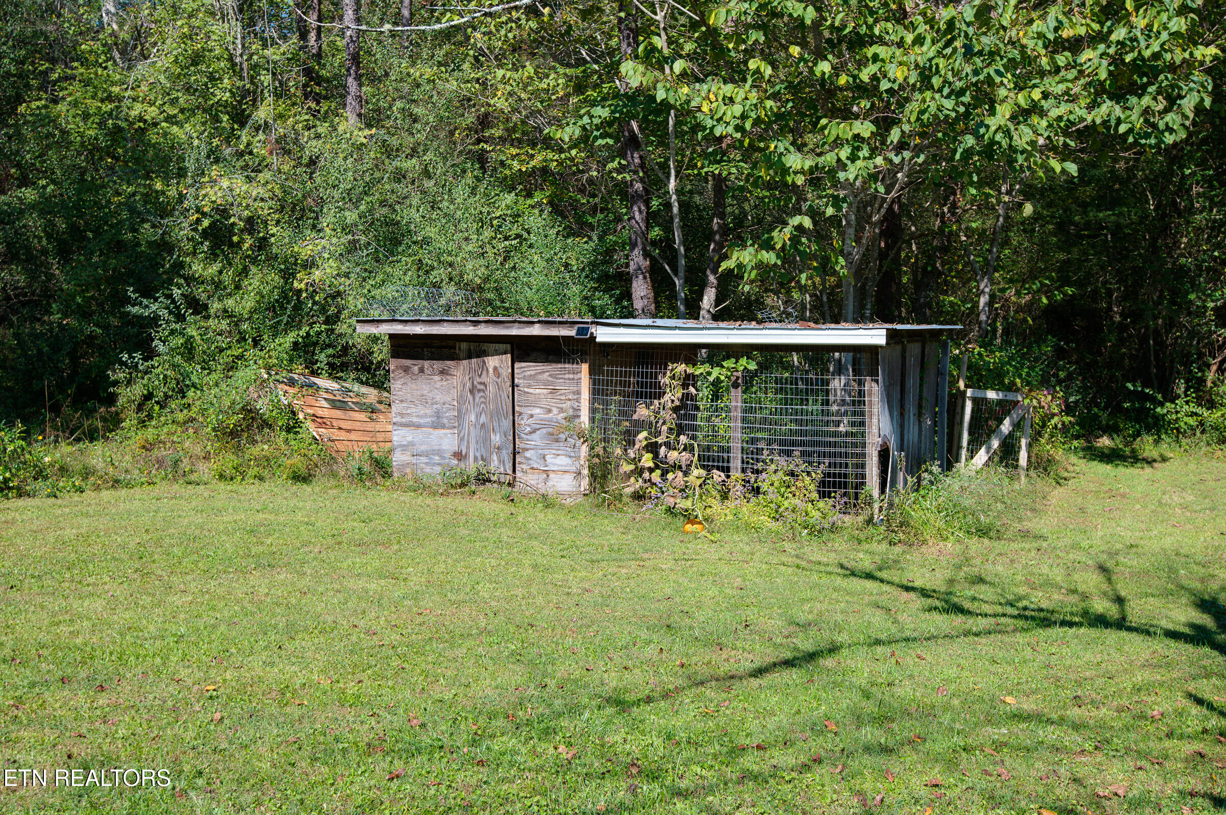 451 Shady Grove Road Lancing, TN 37770 - Photo 25 of 30 coop