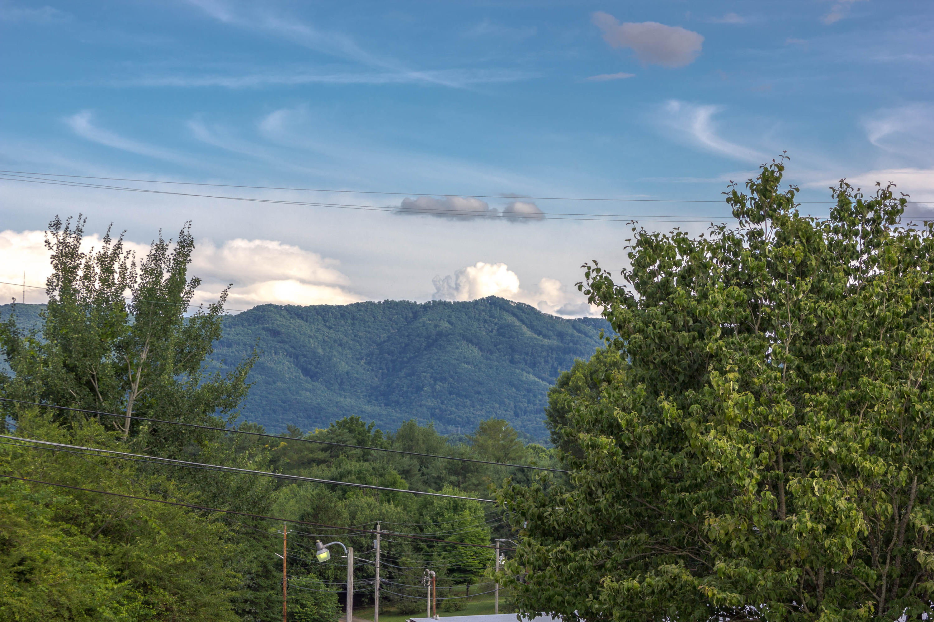 1534 Pactolas Road Johnson City, TN 37604 - Photo 40 of 40 IMG_0749