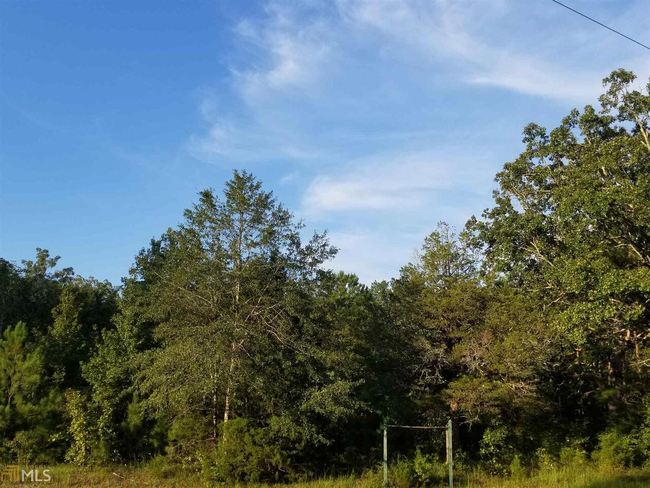 0 Hadley Road, Unit 10 Pine Mountain, GA 31822 - Photo 1 of 1 Gallery Image 1