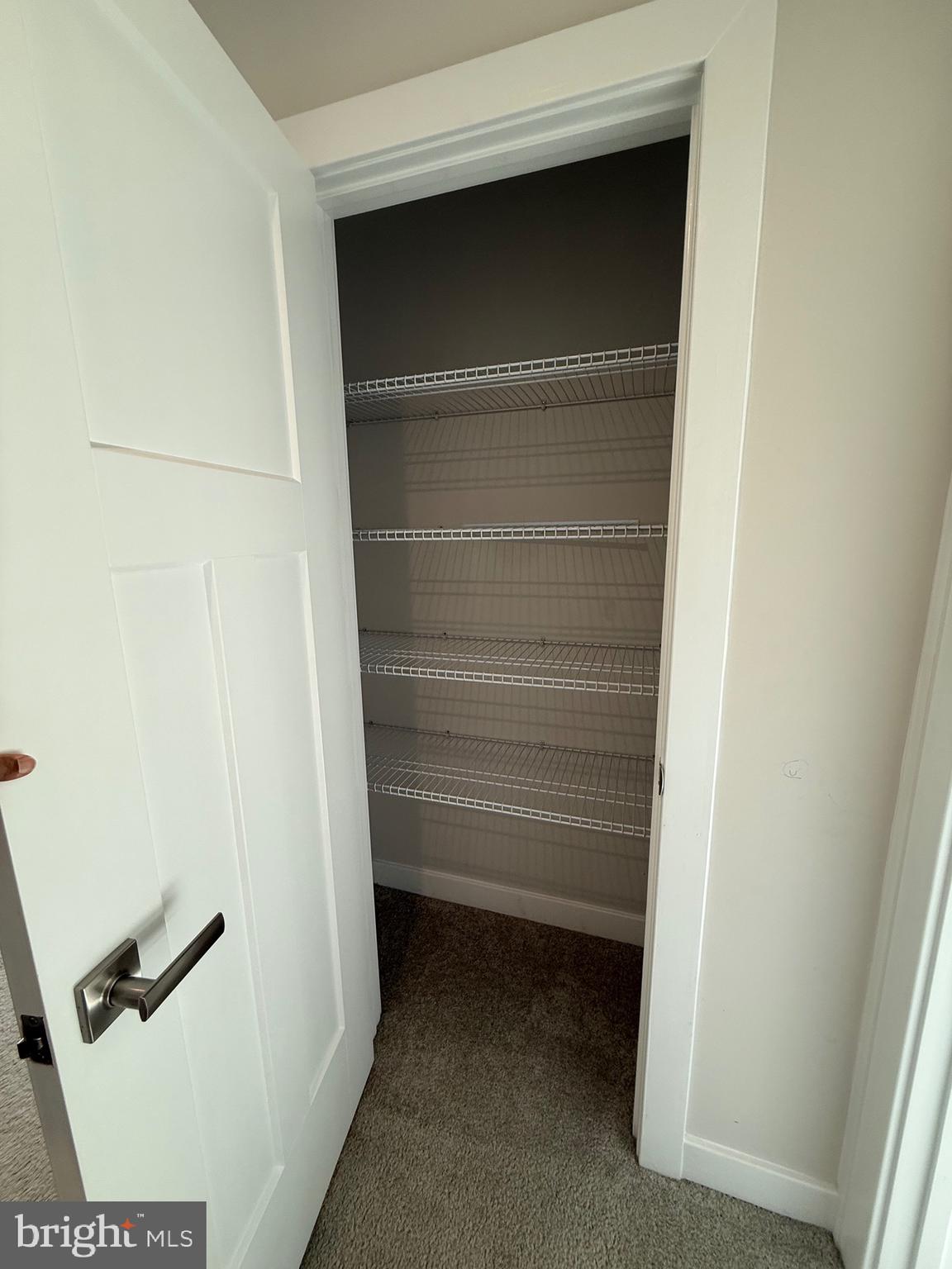 440 Tree Of Heaven Way Newark, DE 19713 - Photo 27 of 27 a view of closet