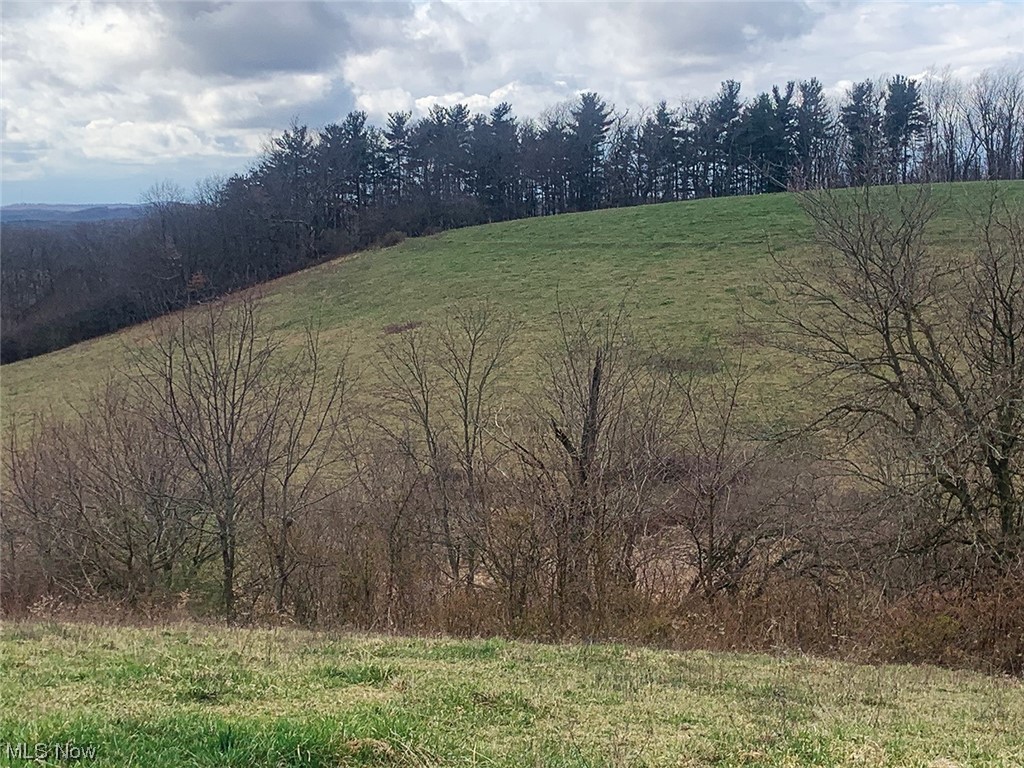 Calcutta Smith Ferry Road East Liverpool, OH 43920 - Photo 2 of 8 Gallery Image 2