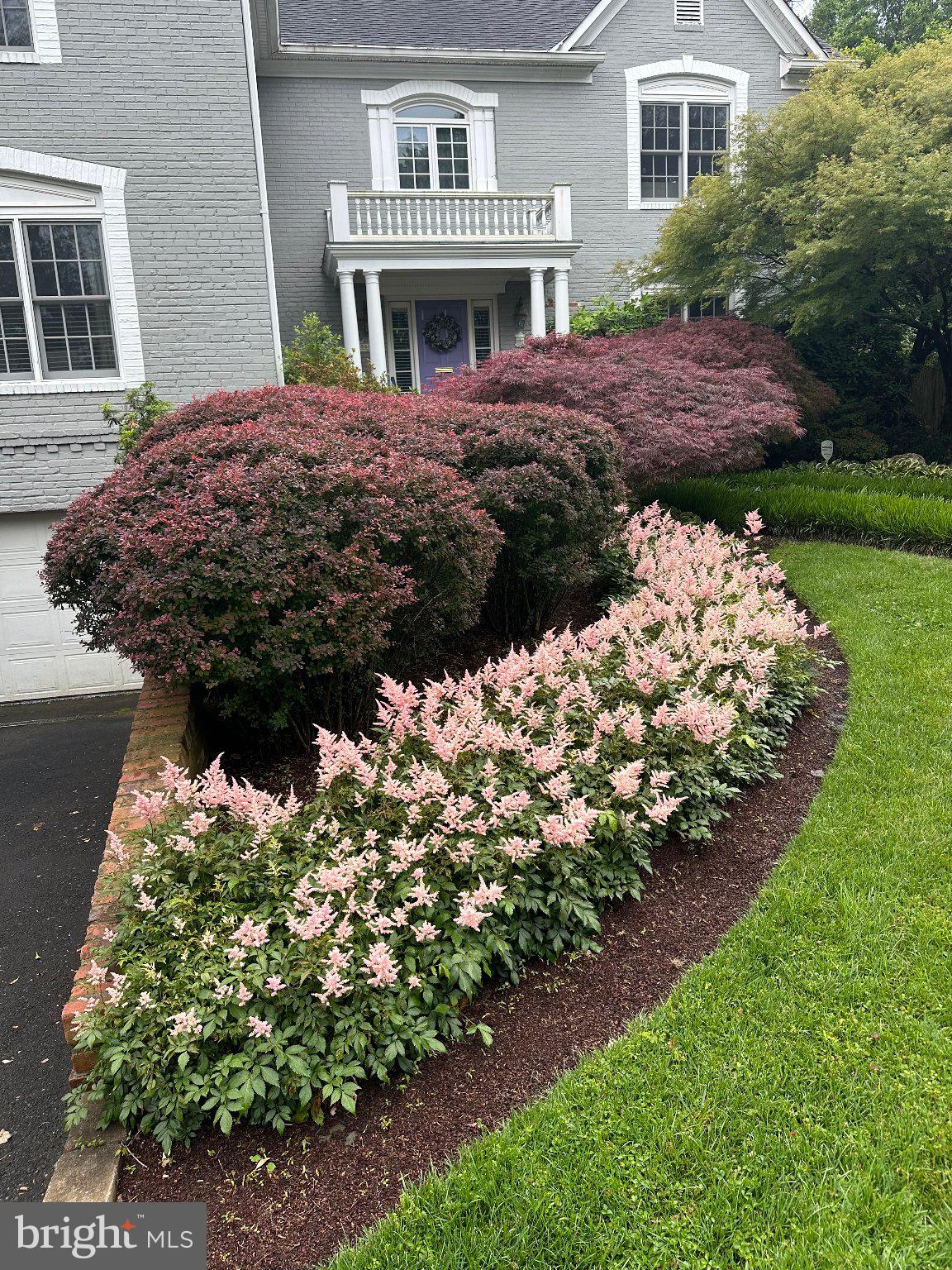 5602 Ogden Road Bethesda, MD 20816 - Photo 4 of 87 Charming blooms frame a welcoming home.