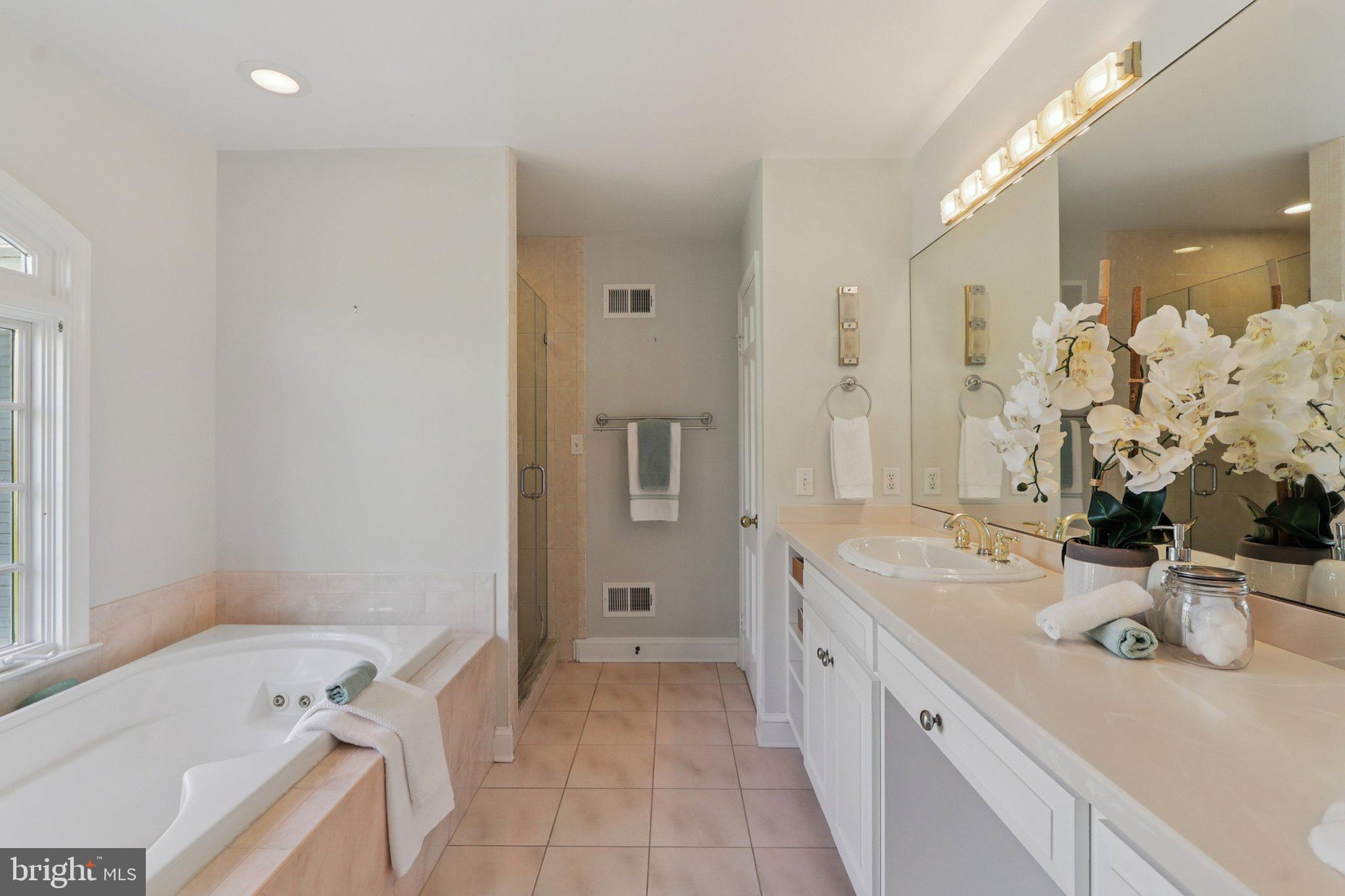 5602 Ogden Road Bethesda, MD 20816 - Photo 48 of 87 Medicine closet, wall of mirrors.