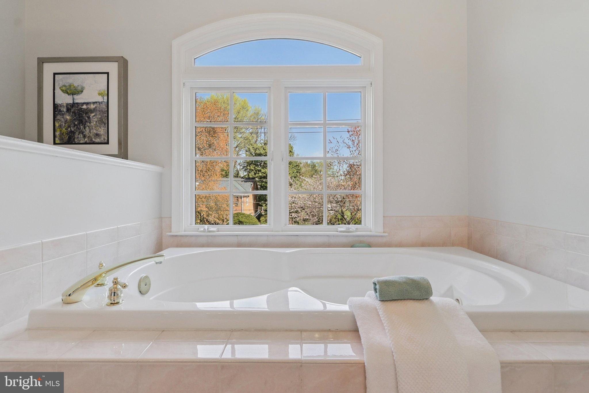 5602 Ogden Road Bethesda, MD 20816 - Photo 49 of 87 Primary bath jetted tub
