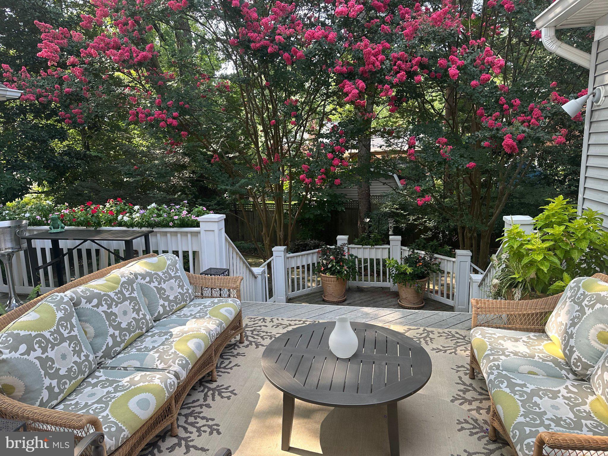 5602 Ogden Road Bethesda, MD 20816 - Photo 10 of 87 Charming patio amidst blooming beauty.