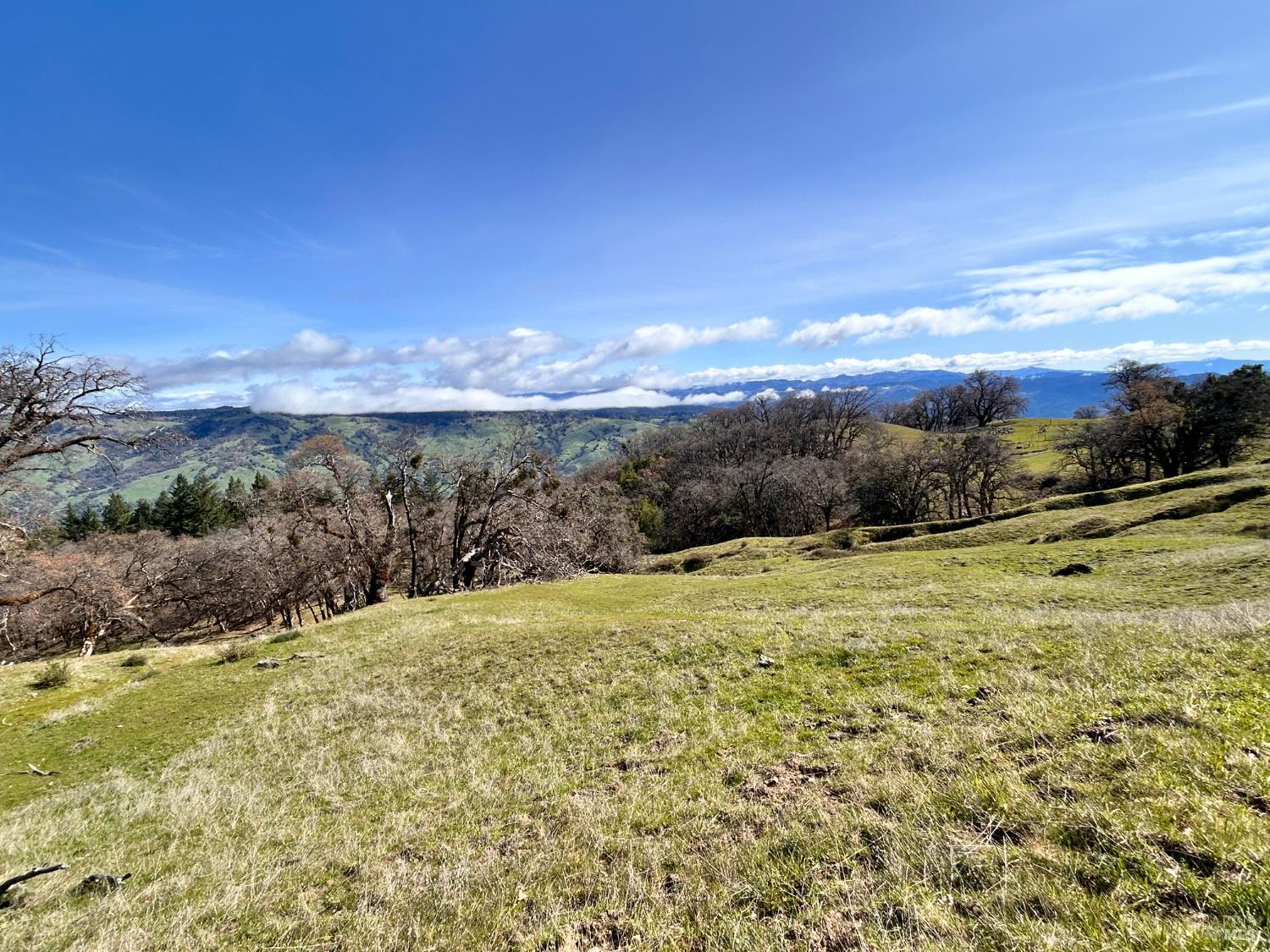74000 Island Mountain Road Garberville, CA 95542 - Photo 14 of 36