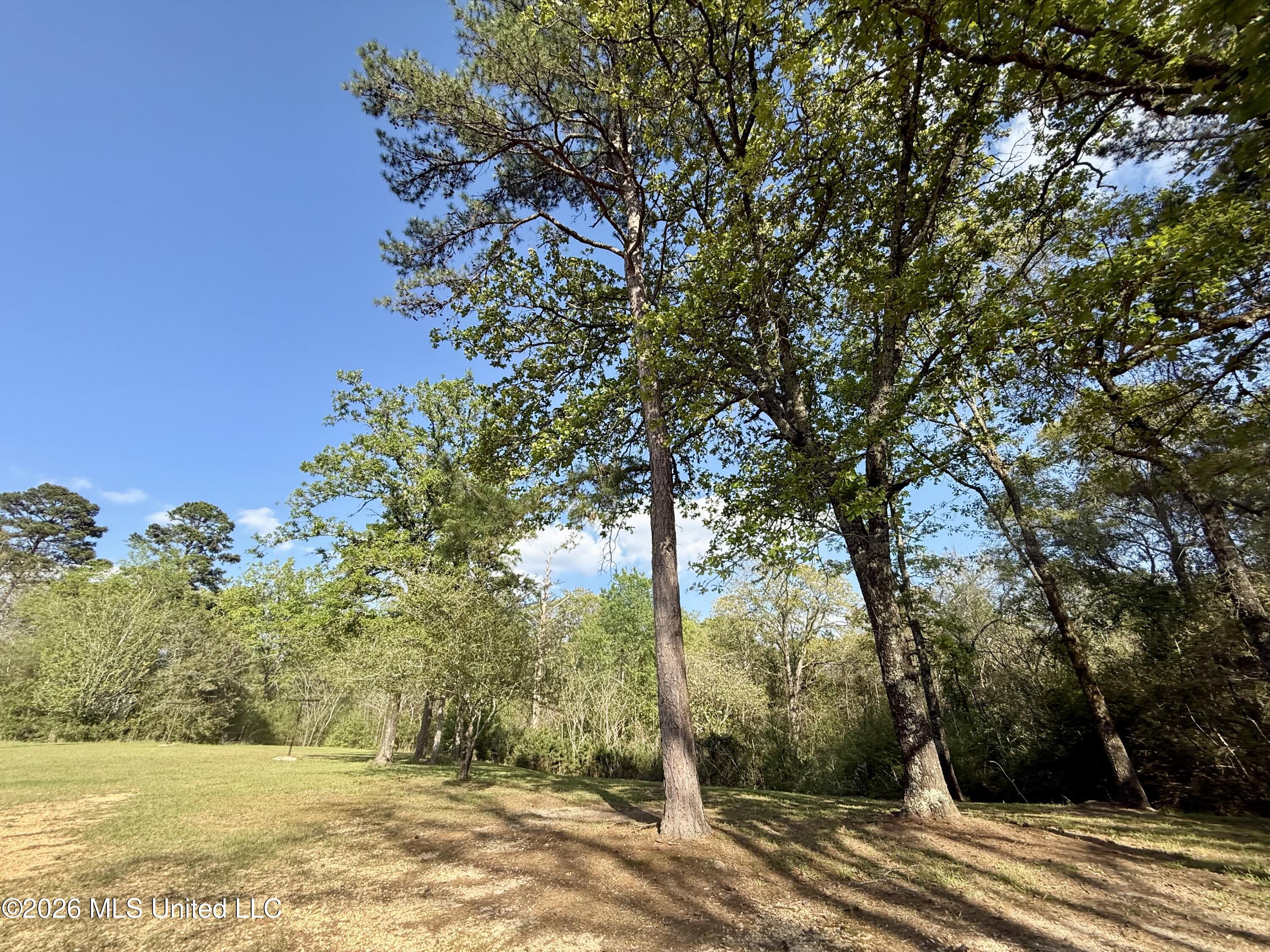 220 Mays Creek Road Foxworth, MS 39483 - Photo 23 of 24 IMG_6029