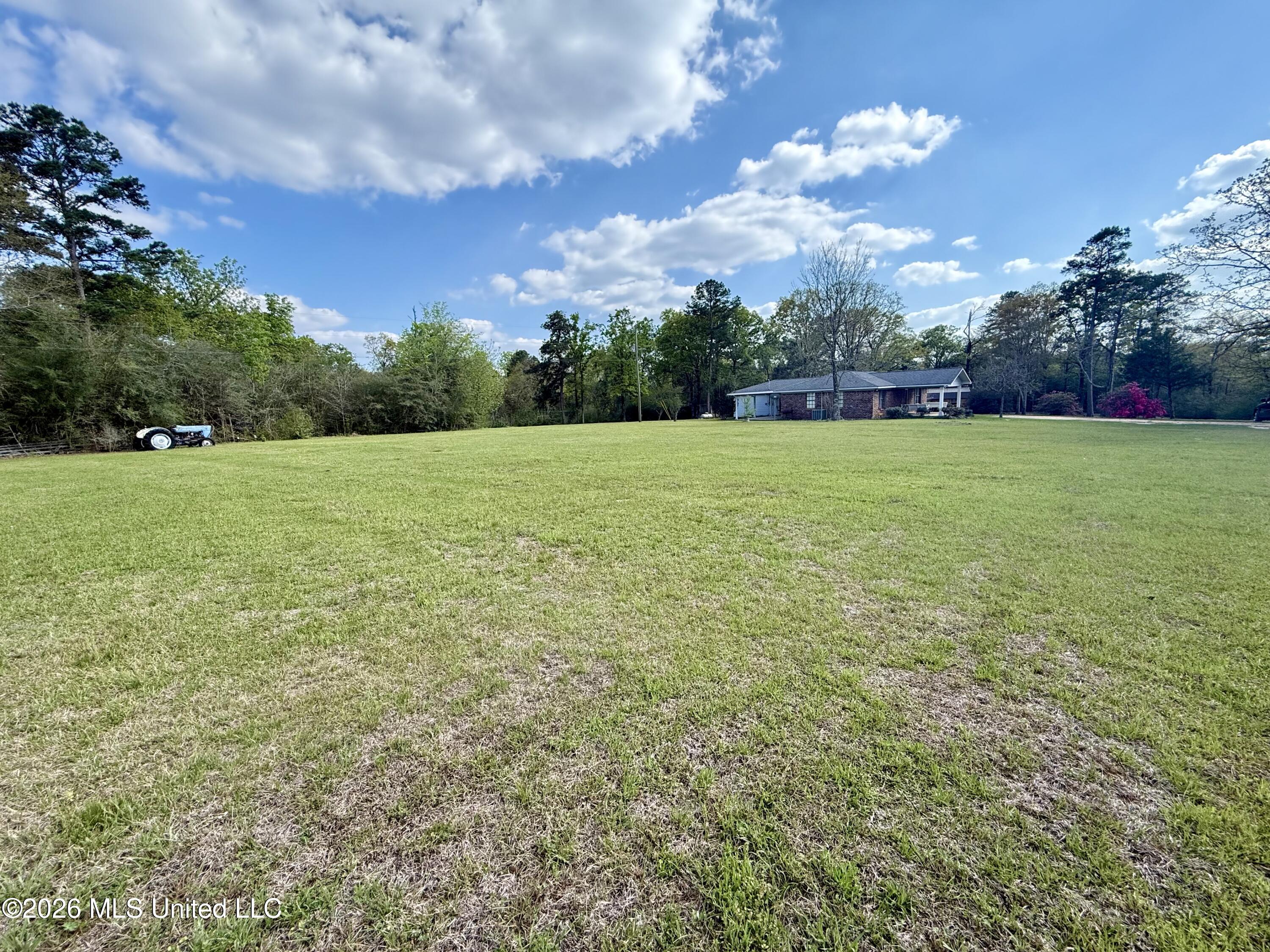 220 Mays Creek Road Foxworth, MS 39483 - Photo 5 of 24 IMG_5964