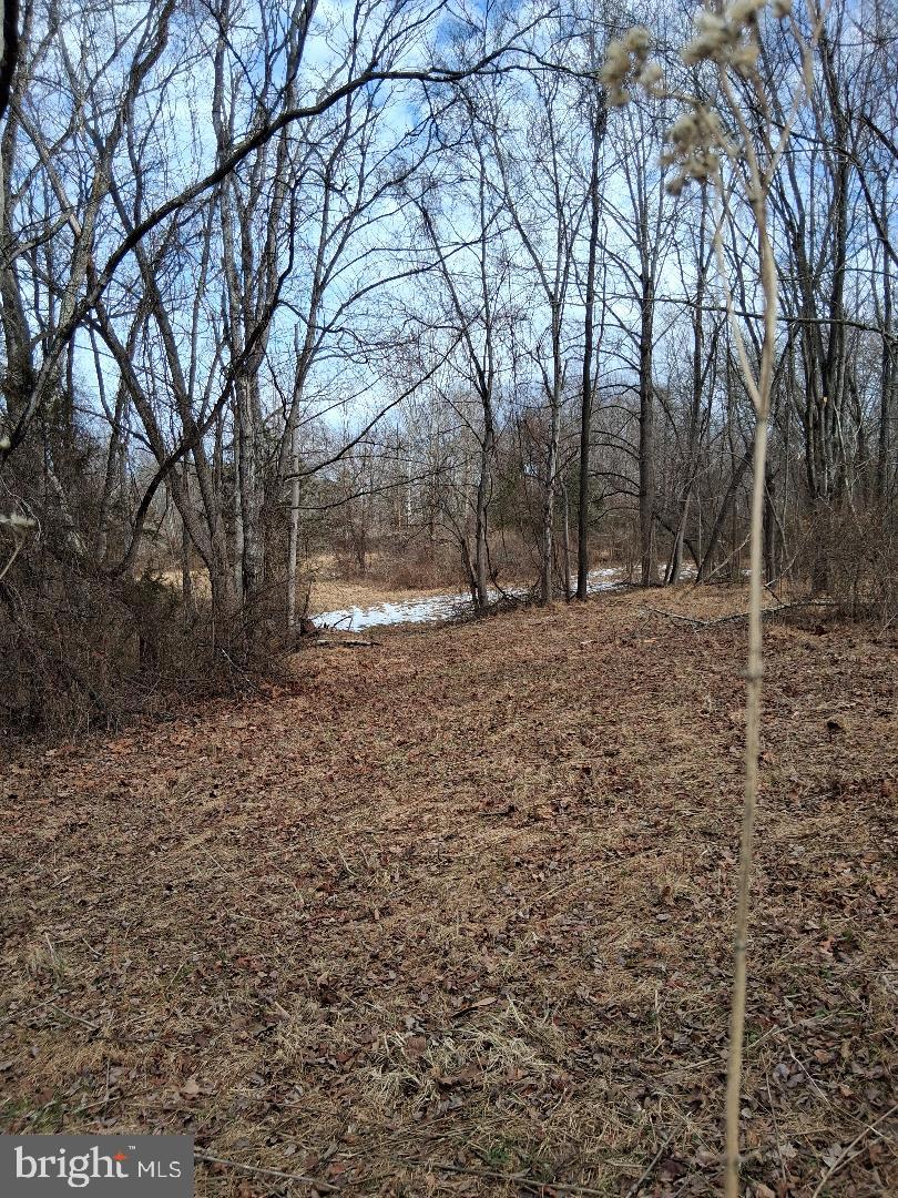 369 Rock Mills Road, Unit A Washington, VA 22747 - Photo 3 of 13