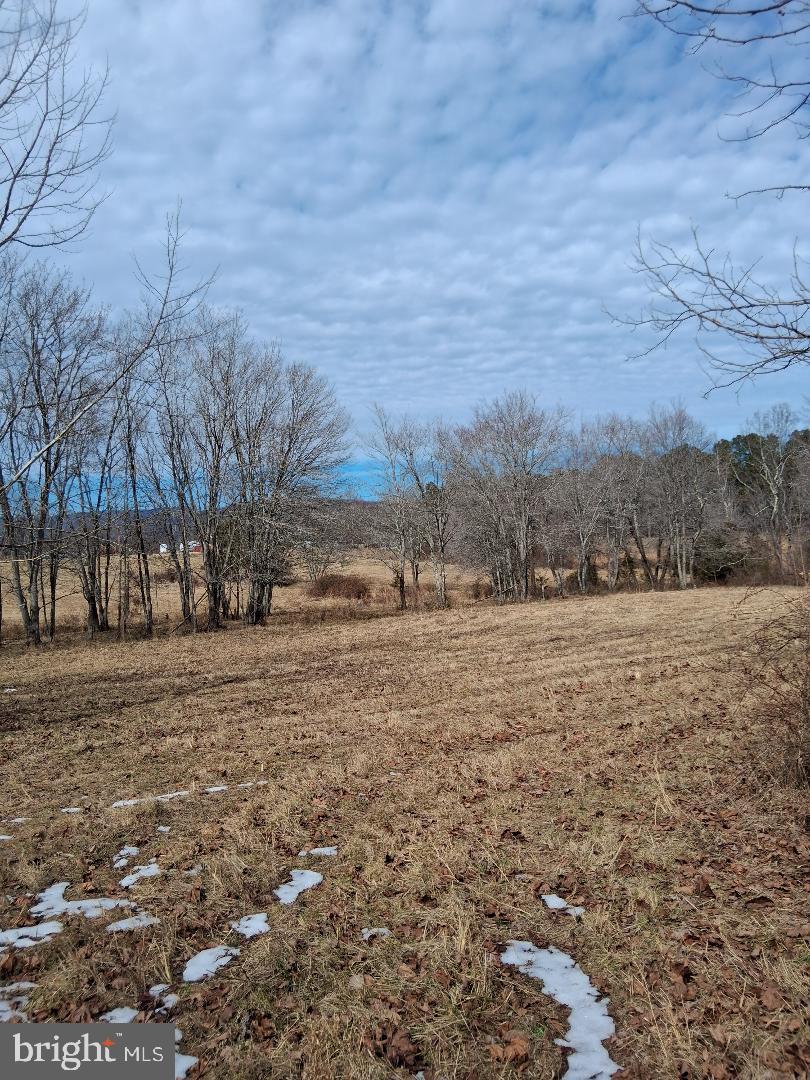 369 Rock Mills Road, Unit A Washington, VA 22747 - Photo 4 of 13