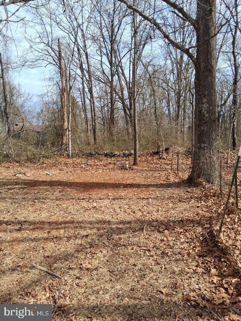 369 Rock Mills Road, Unit A Washington, VA 22747 - Photo 5 of 13 Rear Right Corner