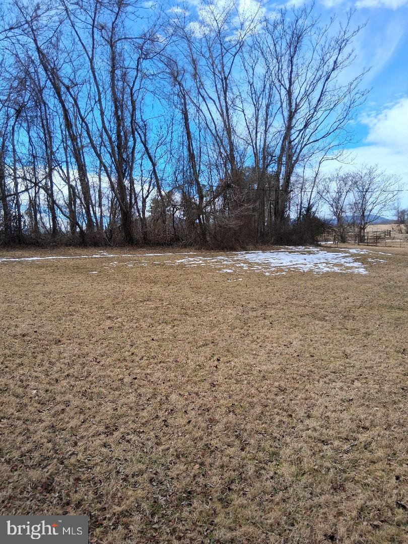 369 Rock Mills Road, Unit A Washington, VA 22747 - Photo 7 of 13