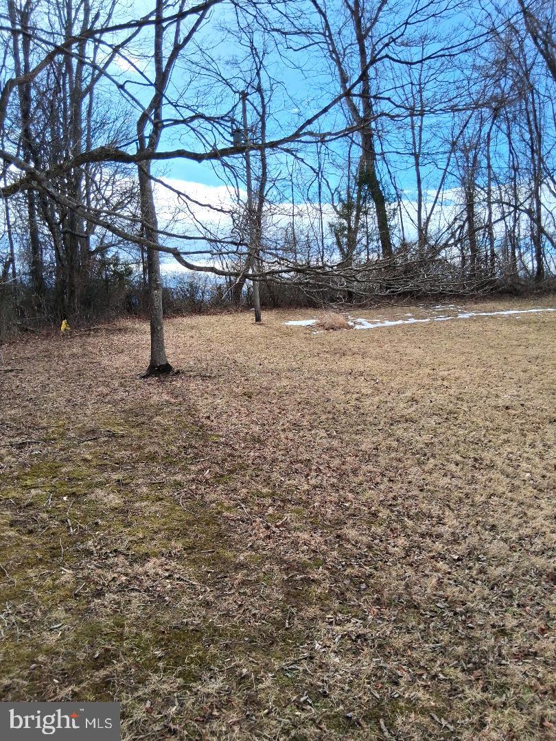 369 Rock Mills Road, Unit A Washington, VA 22747 - Photo 8 of 13