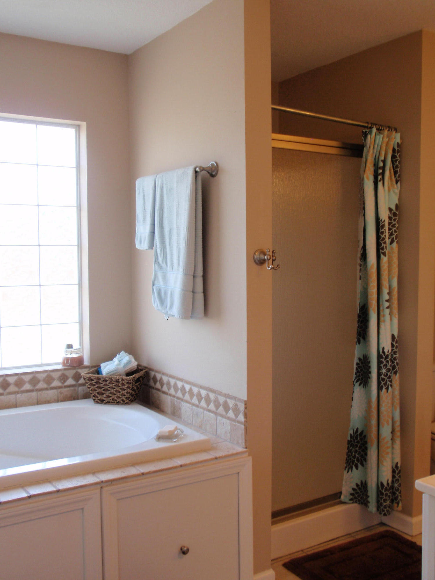 4214 Pea Ridge Road Maryville, TN 37804 - Photo 21 of 35 P4010718
