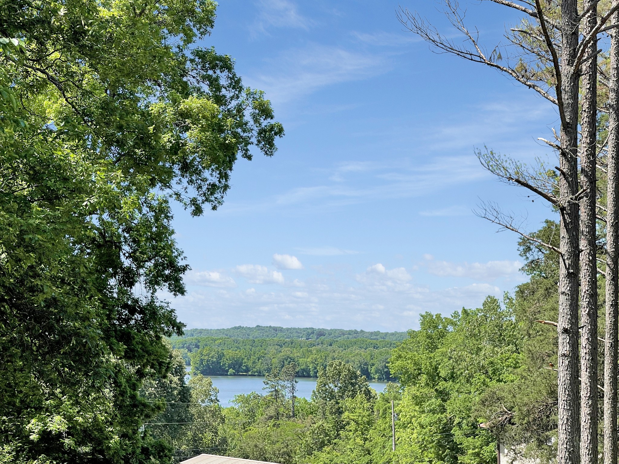 262 Bumpus Mills Road Dover, TN 37058 - Photo 3 of 32 Gallery Image 3