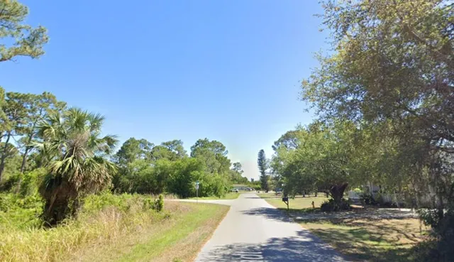 a view of a yard with trees