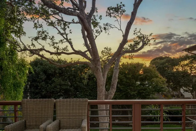 a view of a tree with a wooden fence