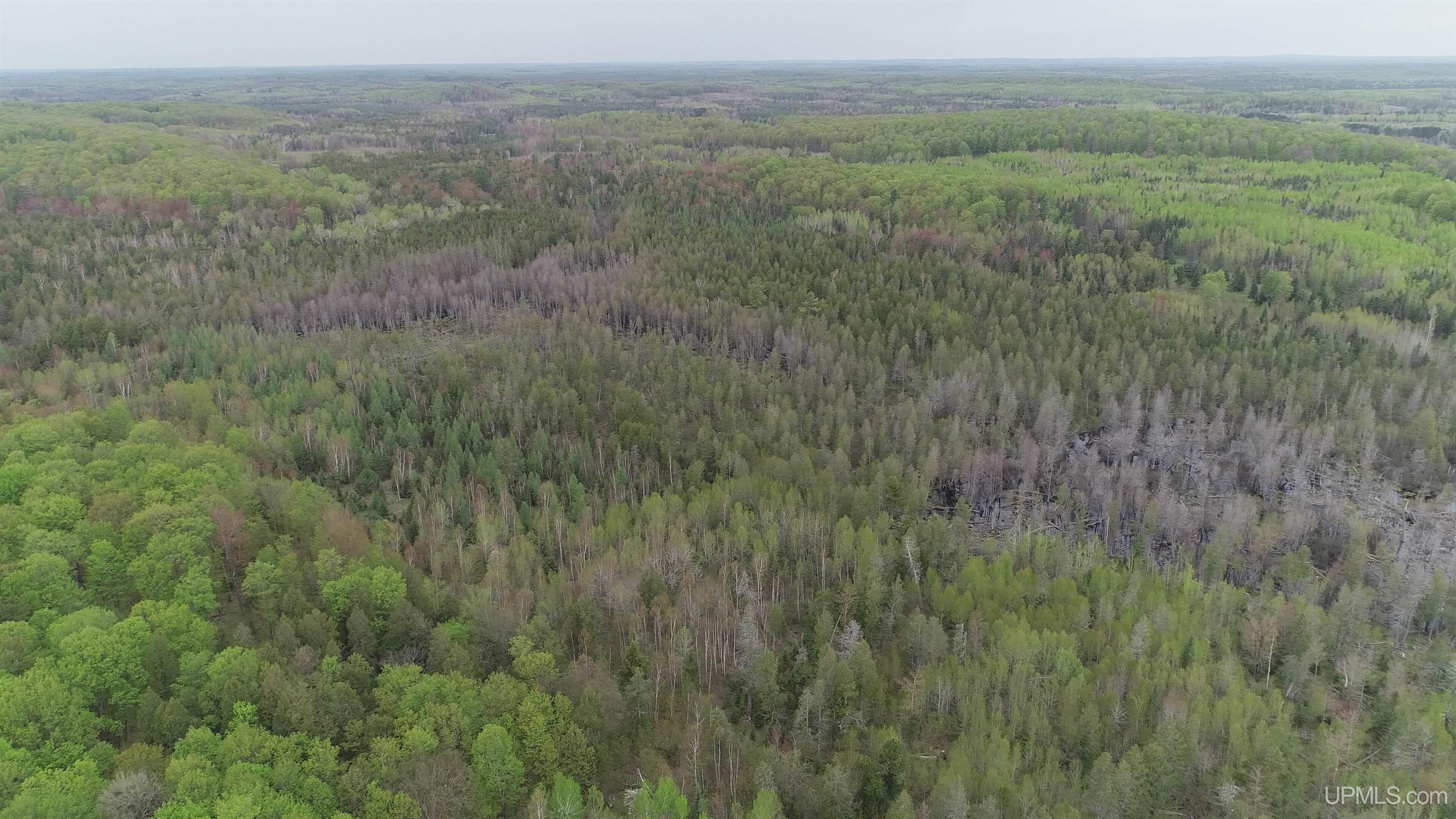 9 Rd Foster City Mi 49834 Road Felch, MI 49831 - Photo 12 of 32