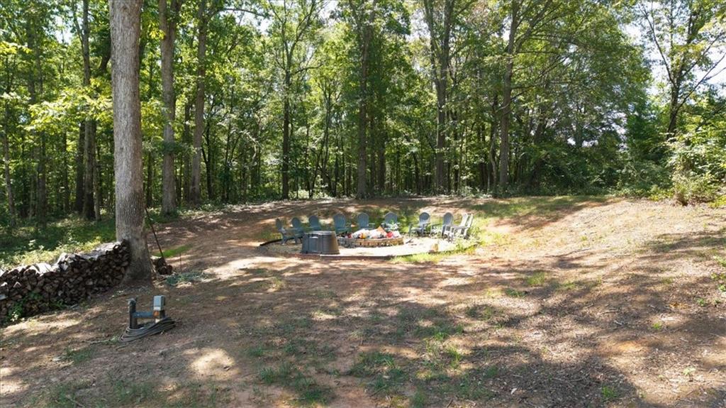 1380 Cronic Town Road Auburn, GA 30011 - Photo 64 of 69