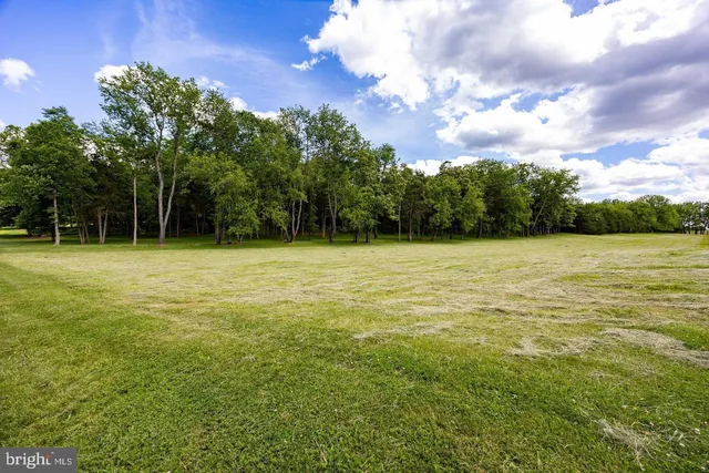a view of a field with an trees in the background