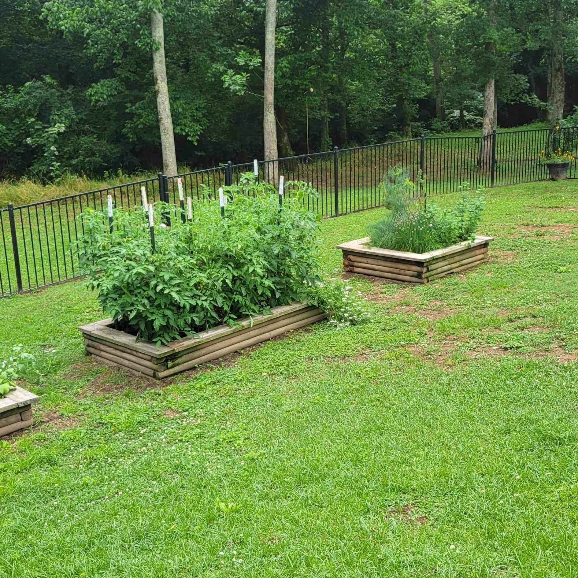 1457 Bern Drive Spring Hill, TN 37174 - Photo 14 of 28 a view of a backyard with plants
