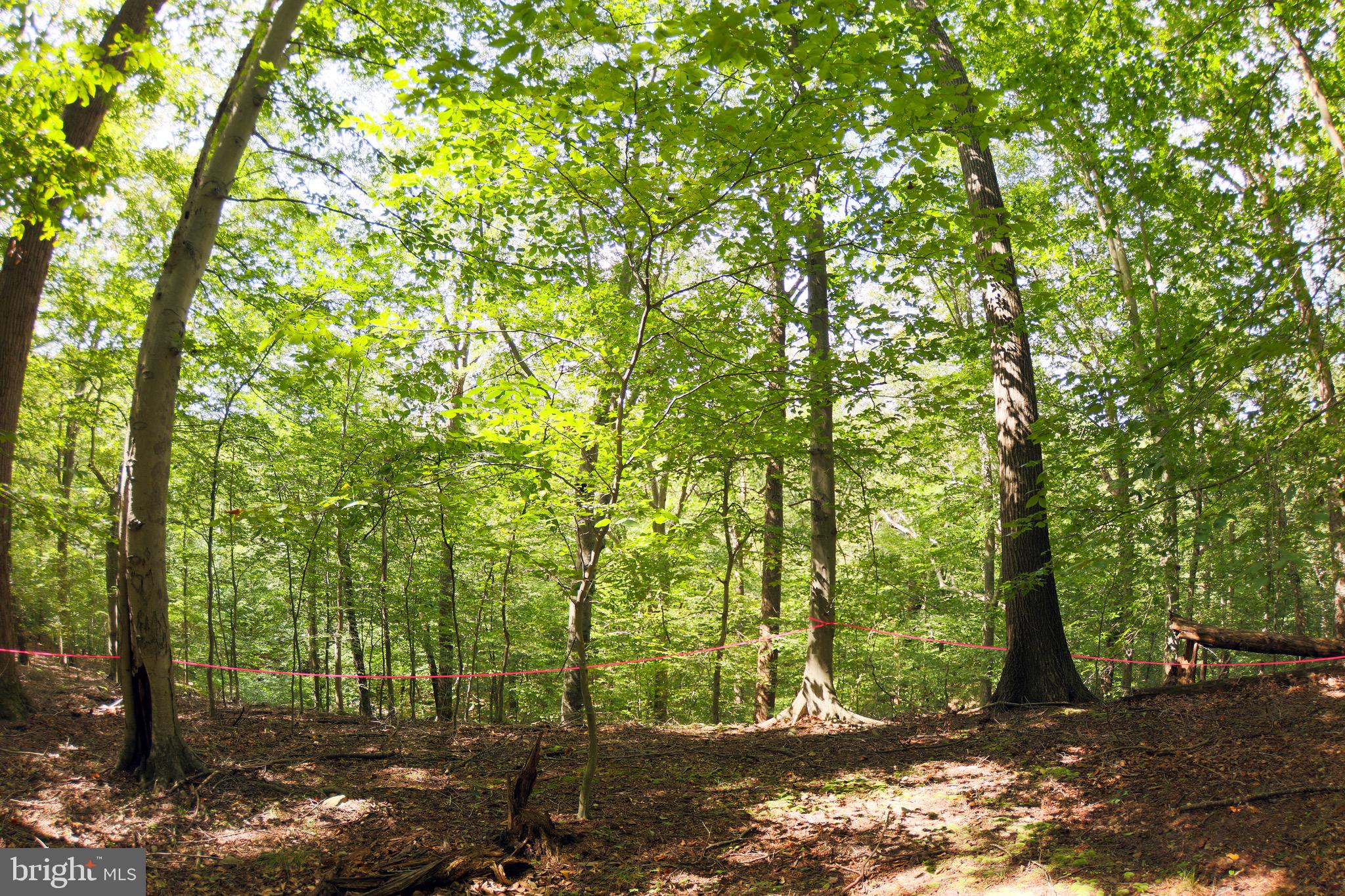 Laurel Drive Accokeek, MD 20607 - Photo 4 of 5 a view of backyard with green space
