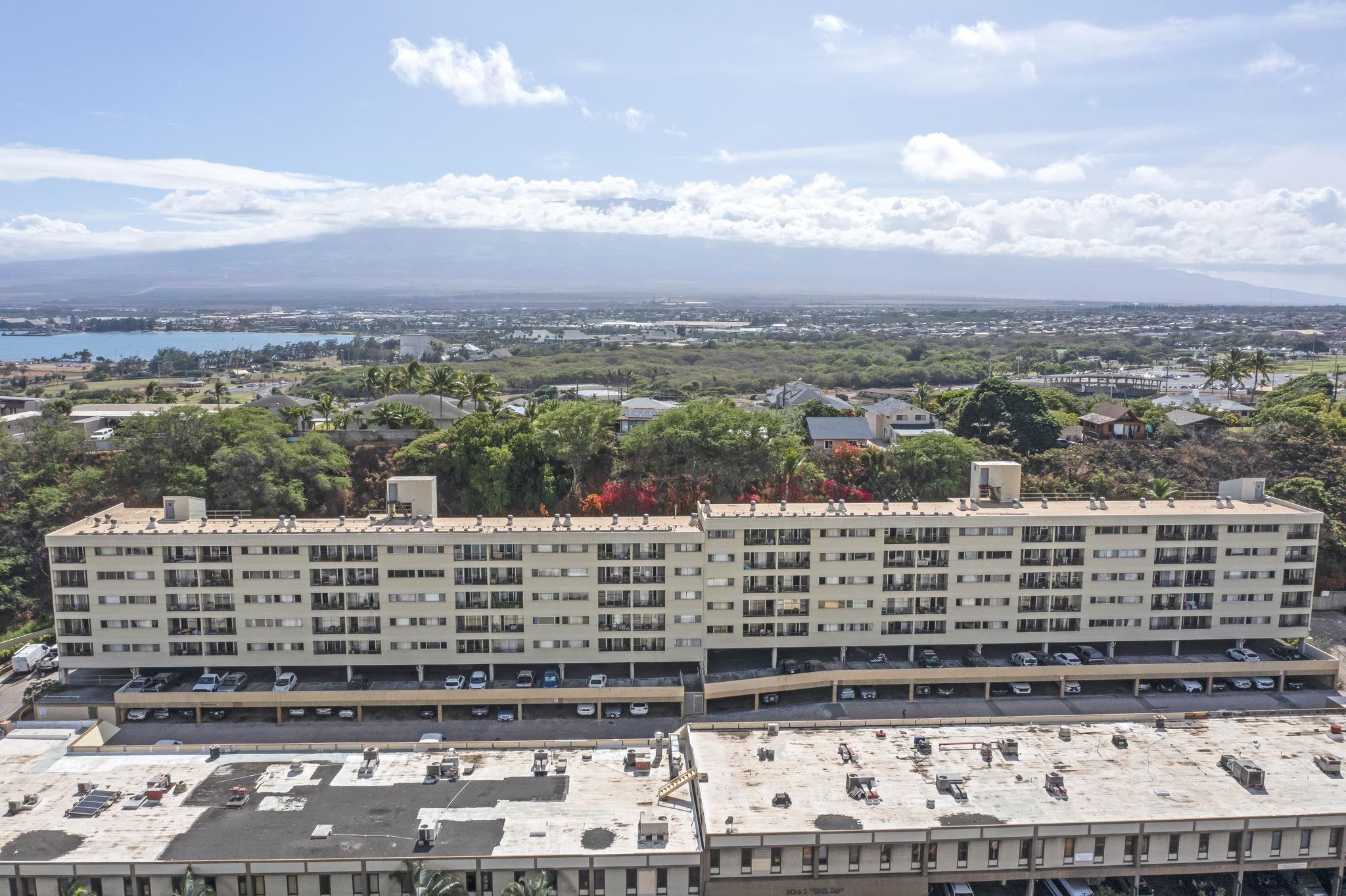 1063 Lower Main Street, Unit 507 Wailuku, HI 96793 - Photo 43 of 46 Puunone Towers