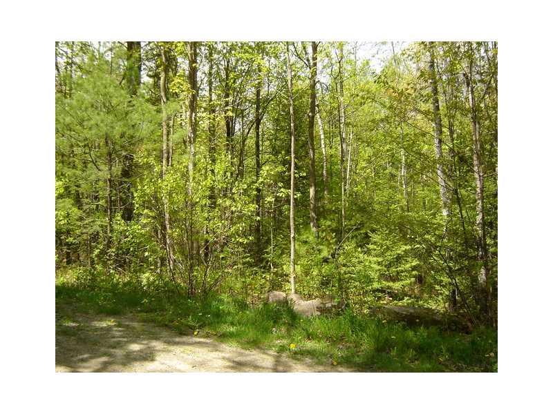 Lot 285 Spruce Road Rome, ME 04963 - Photo 4 of 6 Land/Lot.