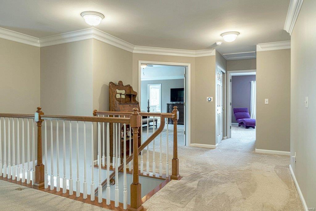 5408 Gareth Weldon Spring, MO 63304 - Photo 39 of 70 Gallery Image 39