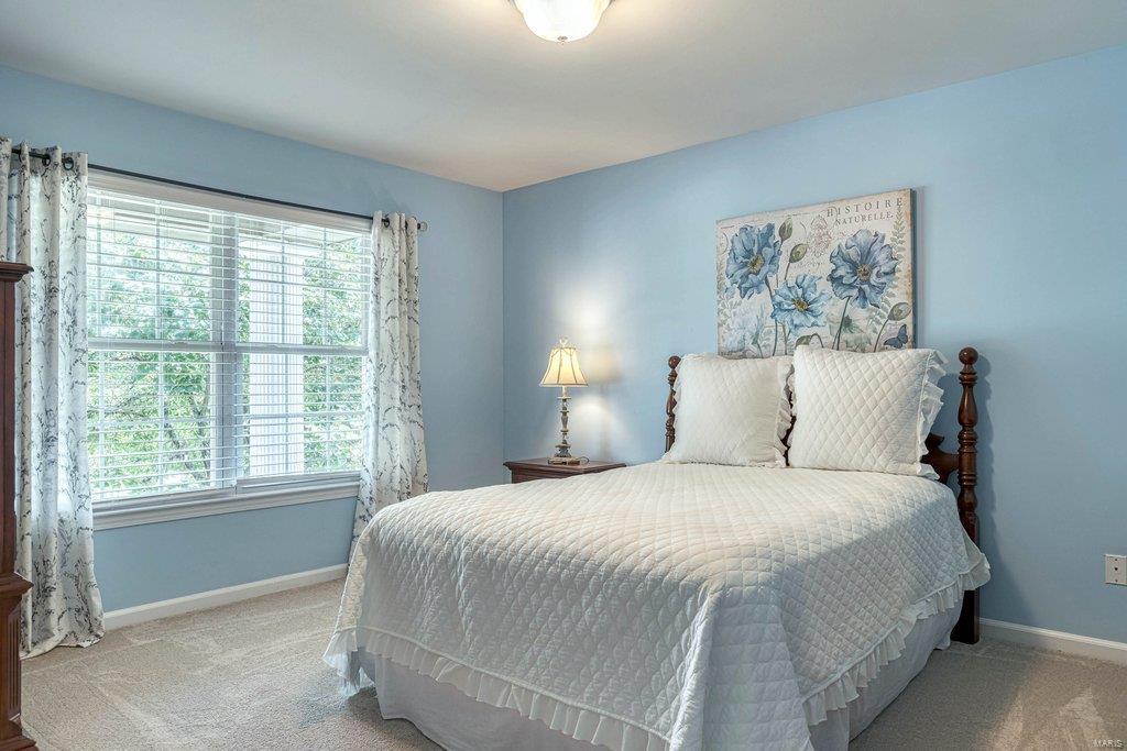 5408 Gareth Weldon Spring, MO 63304 - Photo 46 of 70 Gallery Image 46