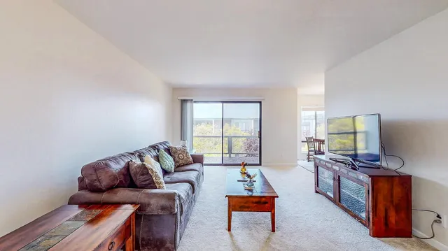 a living room with furniture a rug and a window