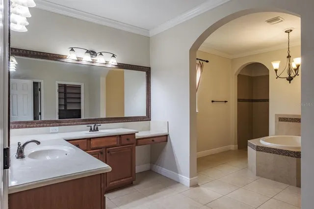 a view of a park with palm trees