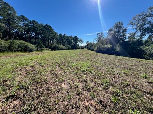 27-ac Babbie Road Andalusia, AL 36421 - Photo 11 of 35 Gallery Image 11