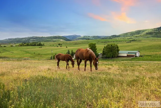 $1,300,000 | 158 Long Sawmill Road, Montpelier, ID 83254