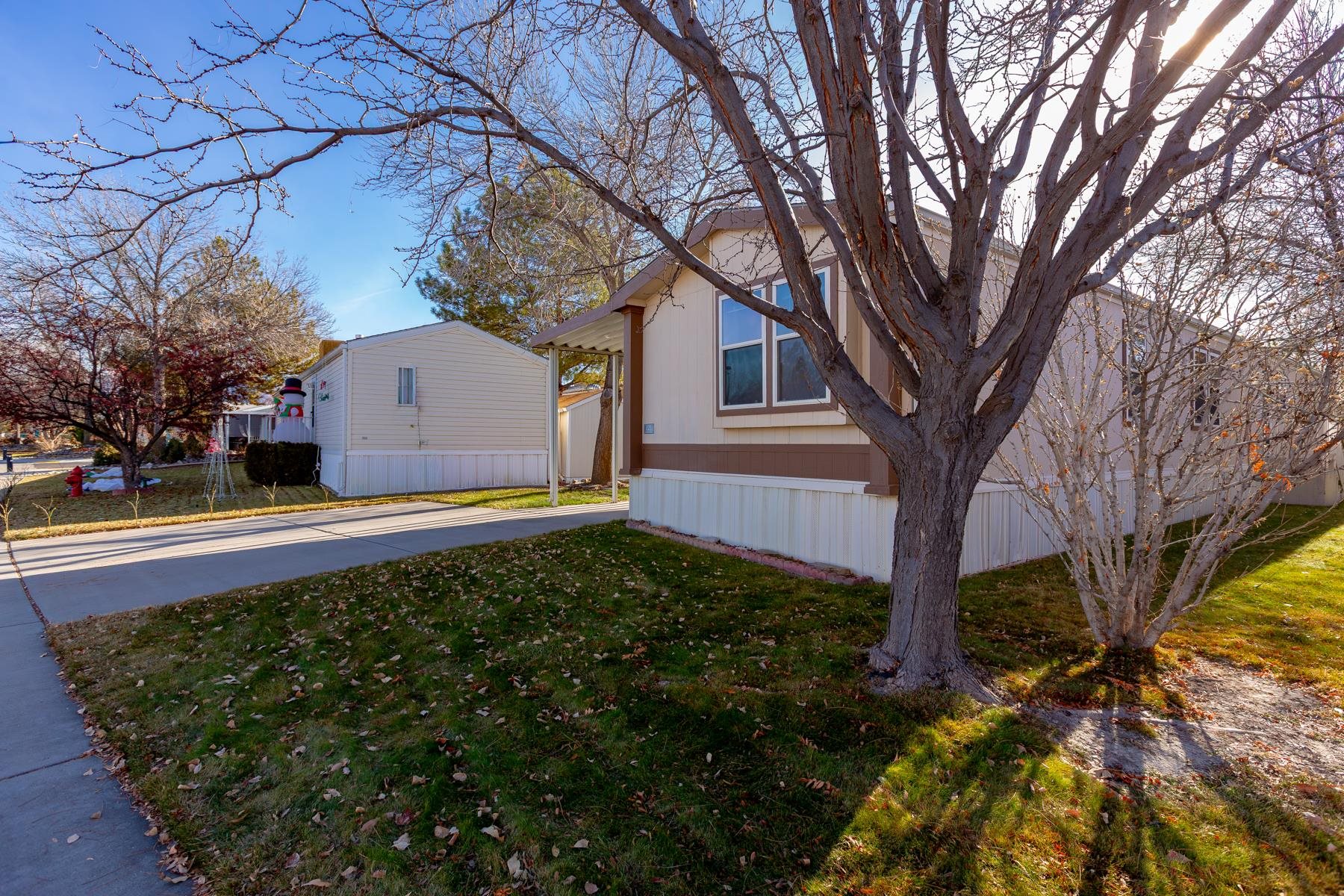 435 32 Road, Unit 521 Clifton, CO 81520 - Photo 6 of 26 a view of a house with a large tree and a yard