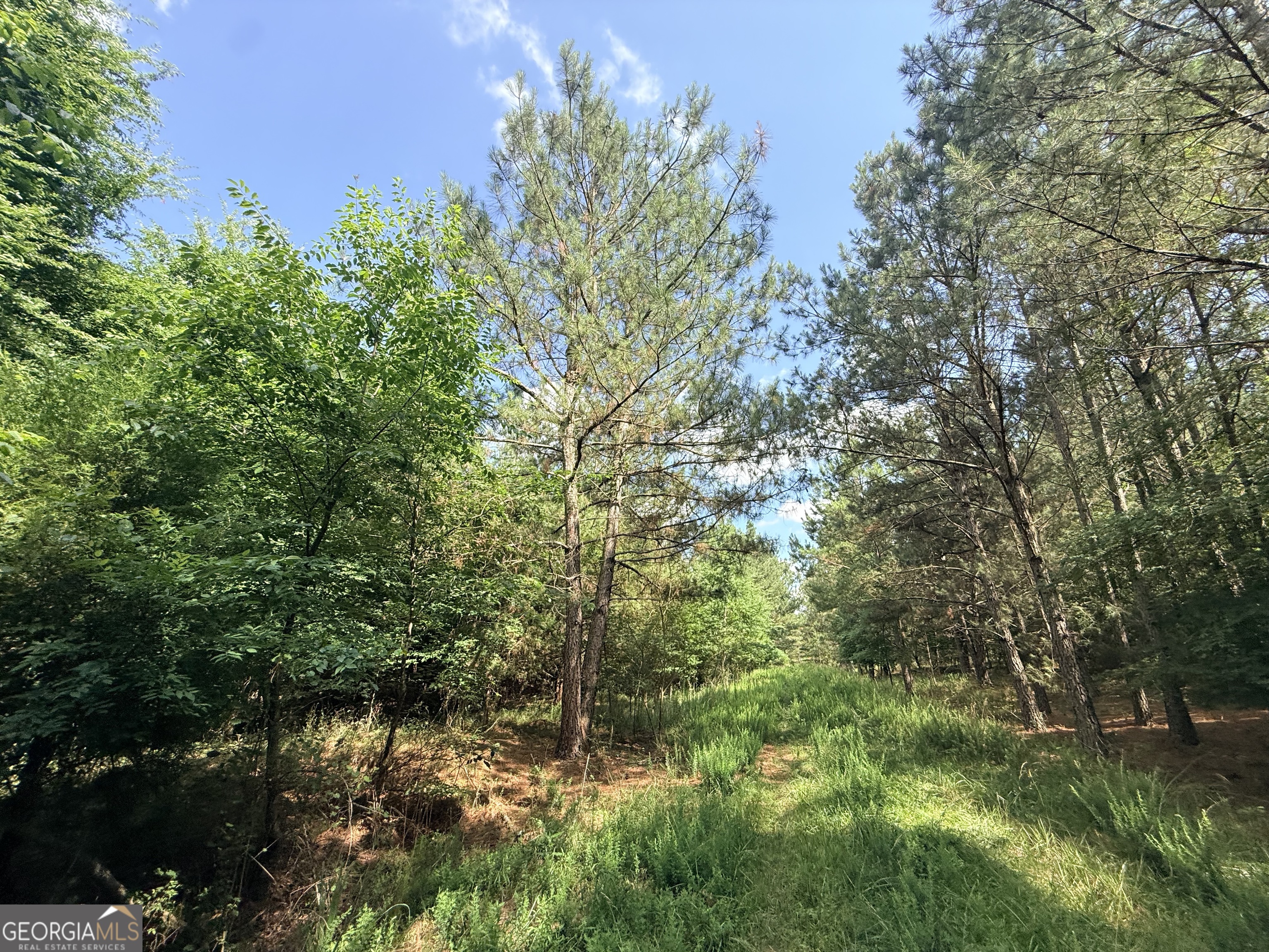 1 Bethesda Church Road Lexington, GA 30648 - Photo 54 of 78